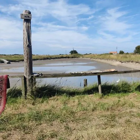 Campingplatz Avec Terrasse Pour 4 Personnes A - Api-1-52-630 Saint-Georges-d'Oleron